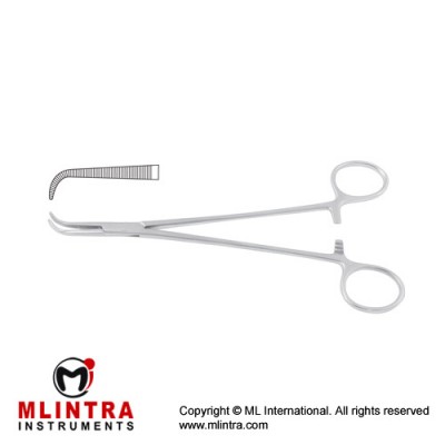 Mini-Gemini Dissecting and Ligature Forcep Curved Stainless Steel, 25 cm - 9 3/4"